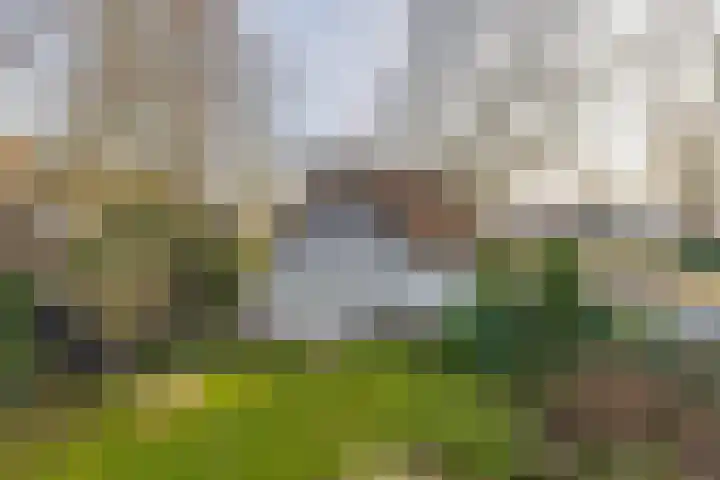 Utrechtseweg 41 Heelsum thumbnail 68