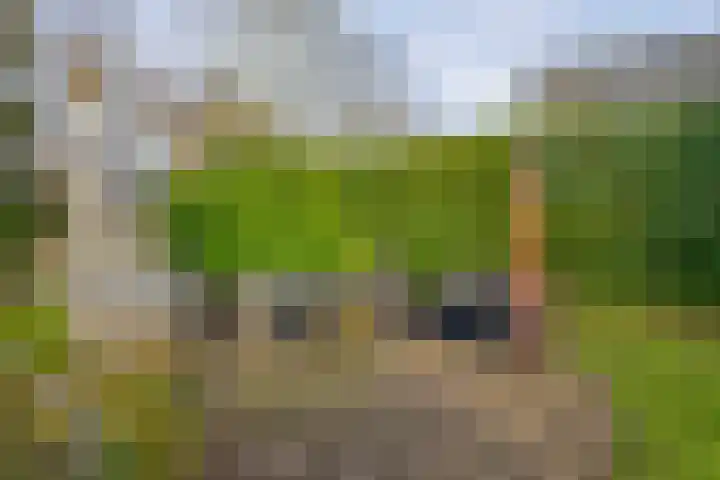 Utrechtseweg 41 Heelsum thumbnail 69