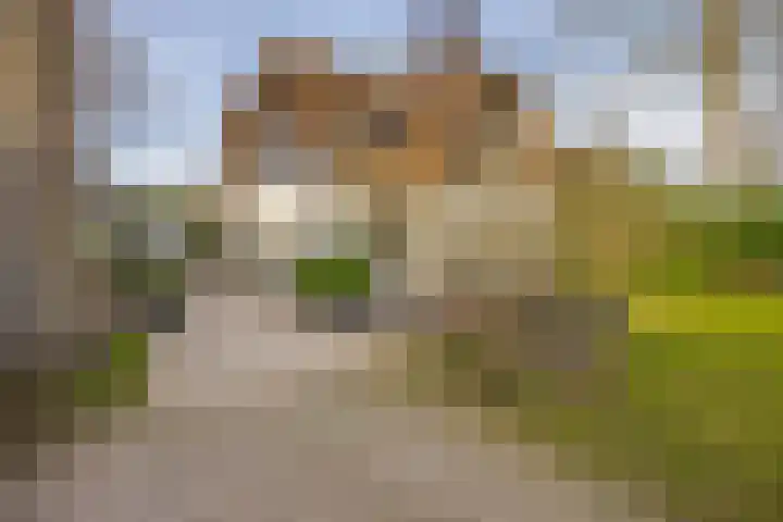 Utrechtseweg 41 Heelsum thumbnail 7