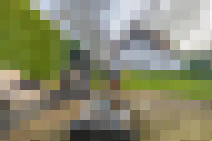 Utrechtseweg 41 Heelsum thumbnail 71