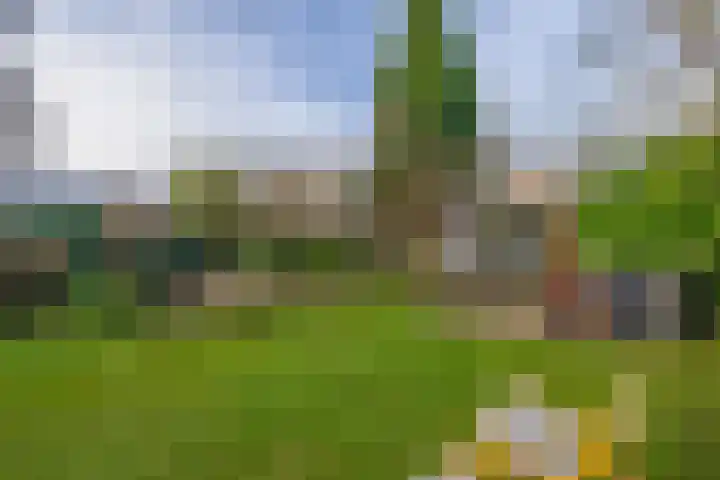 Utrechtseweg 41 Heelsum thumbnail 76