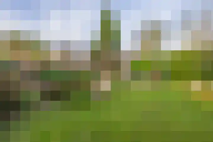 Utrechtseweg 41 Heelsum thumbnail 77