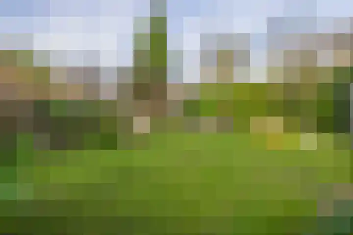 Utrechtseweg 41 Heelsum thumbnail 78