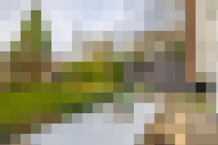 Utrechtseweg 41 Heelsum thumbnail 79