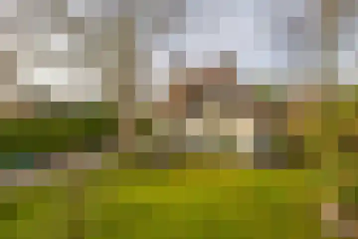 Utrechtseweg 41 Heelsum thumbnail 8