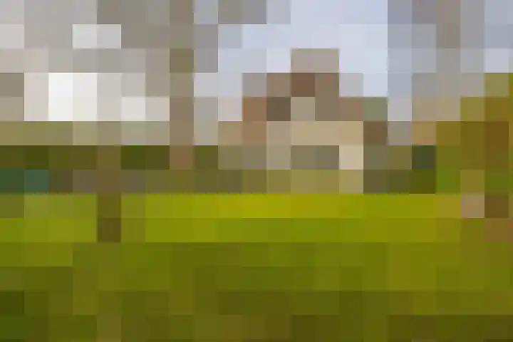 Utrechtseweg 41 Heelsum thumbnail 9
