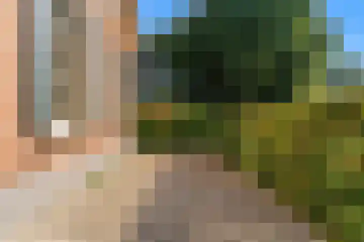 Utrechtseweg 42 Heelsum thumbnail 24