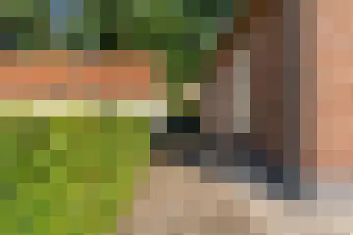 Utrechtseweg 42 Heelsum thumbnail 25