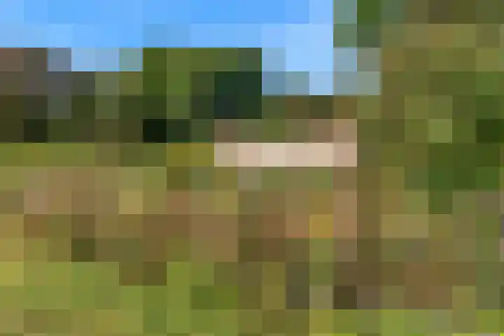 Utrechtseweg 42 Heelsum thumbnail 29