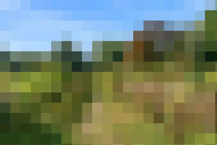 Utrechtseweg 42 Heelsum thumbnail 30
