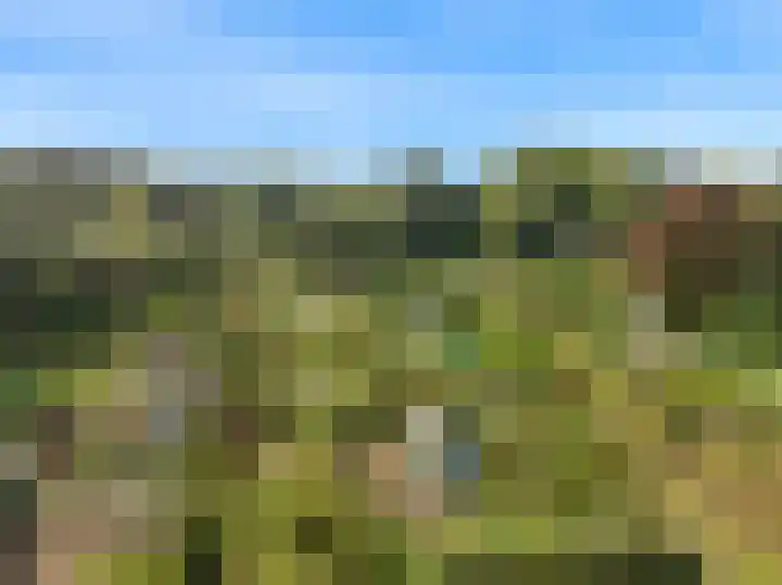 Utrechtseweg 42 Heelsum thumbnail 31