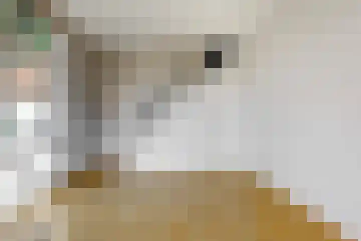 Utrechtseweg 42 Heelsum thumbnail 6