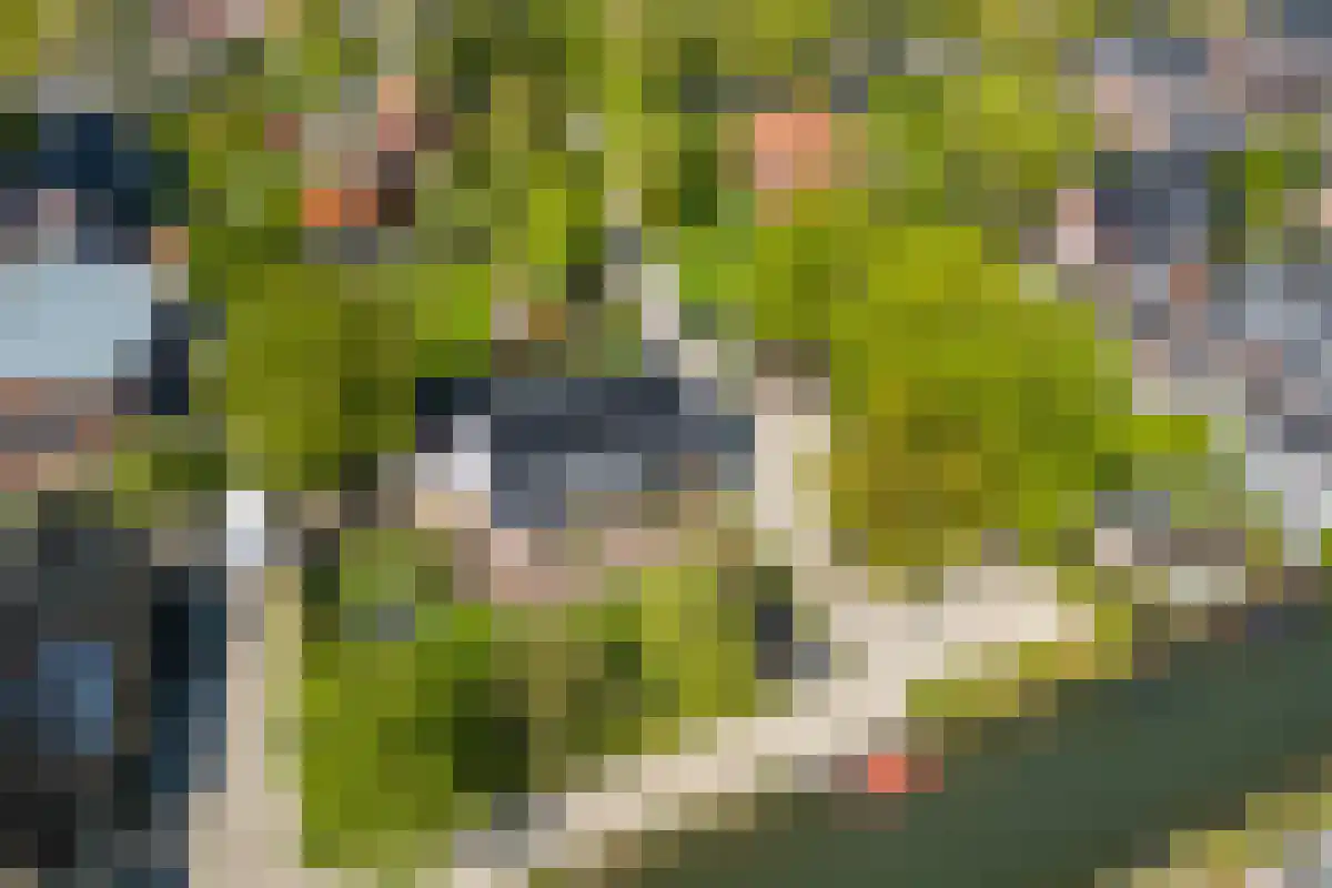 Utrechtseweg 45 Utrecht thumbnail 5