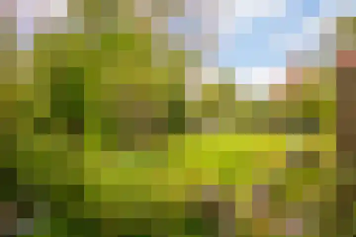 Utrechtseweg 47 Utrecht thumbnail 18