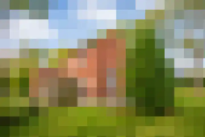 Utrechtseweg 47 Utrecht thumbnail 19