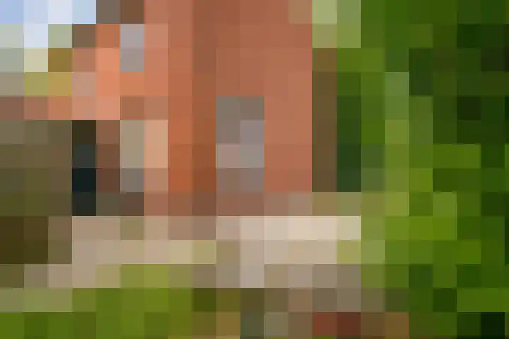 Utrechtseweg 47 Utrecht thumbnail 20