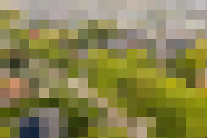 Utrechtseweg 47 Utrecht thumbnail 23