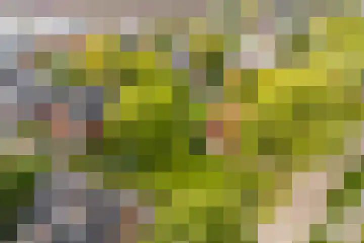 Utrechtseweg 47 Utrecht thumbnail 5