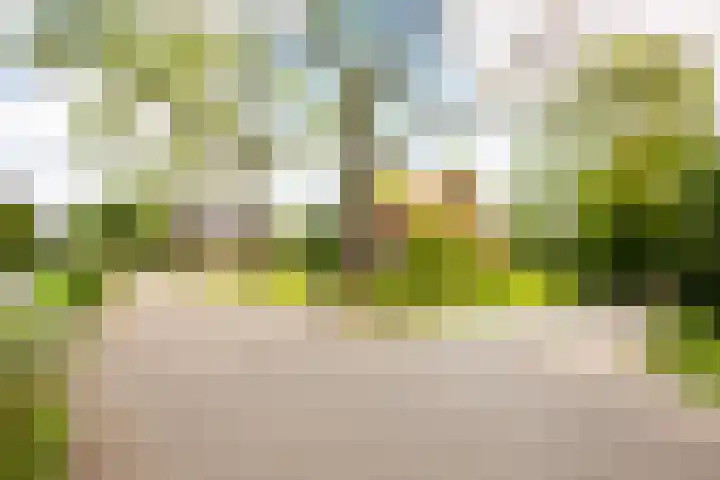 Utrechtseweg 47 Utrecht thumbnail 7