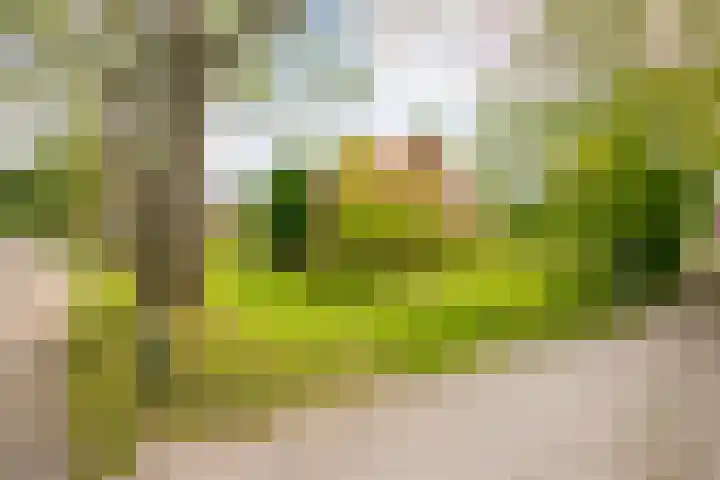 Utrechtseweg 47 Utrecht thumbnail 8