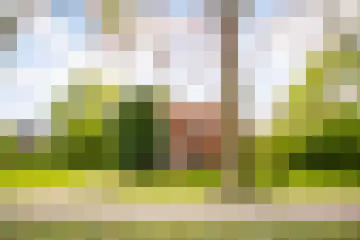 Utrechtseweg 47 Utrecht thumbnail 9