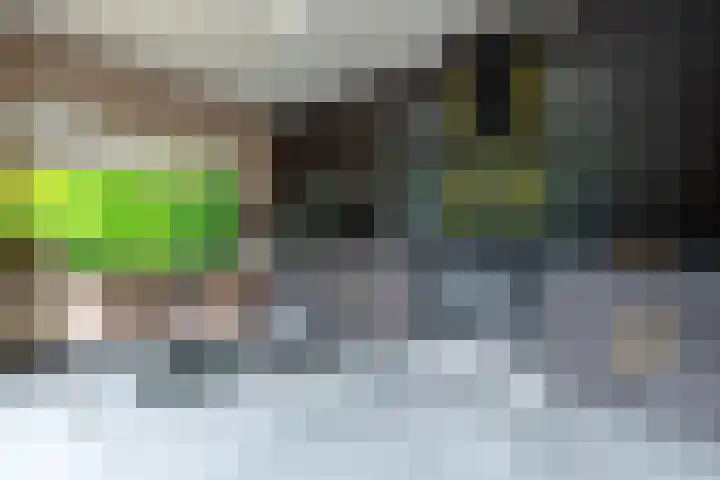 Utrechtseweg 48 I Zeist thumbnail 15