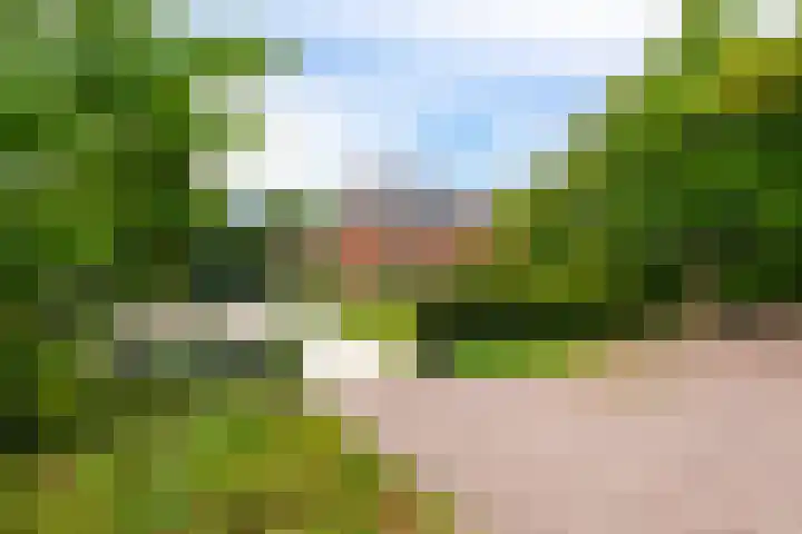Utrechtseweg 48 I Zeist thumbnail 67