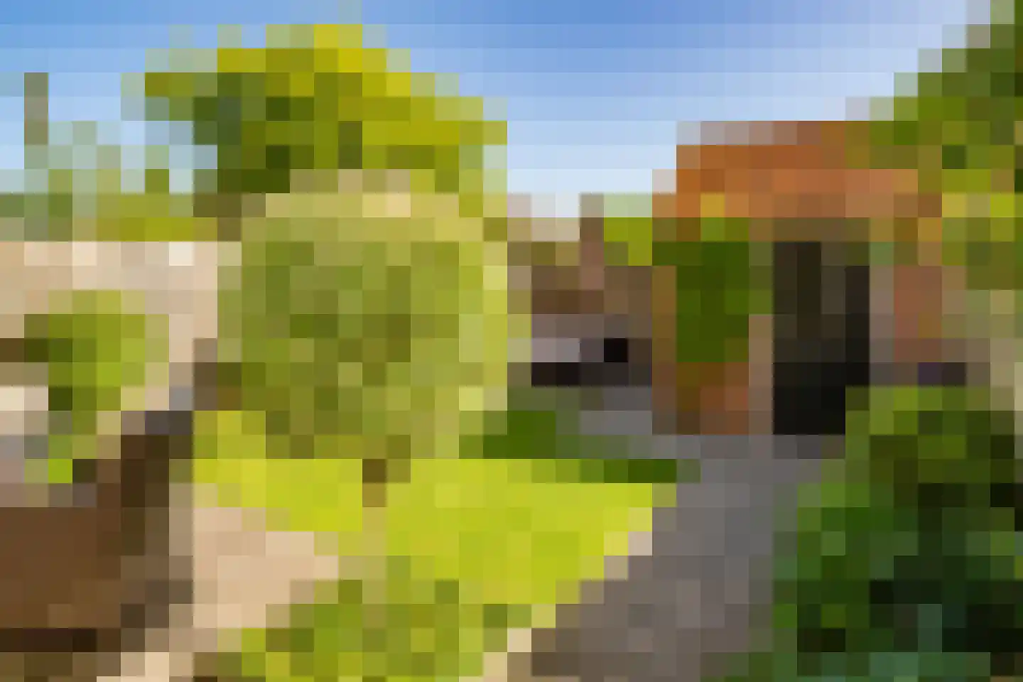 Utrechtseweg 49 IJsselstein thumbnail 31