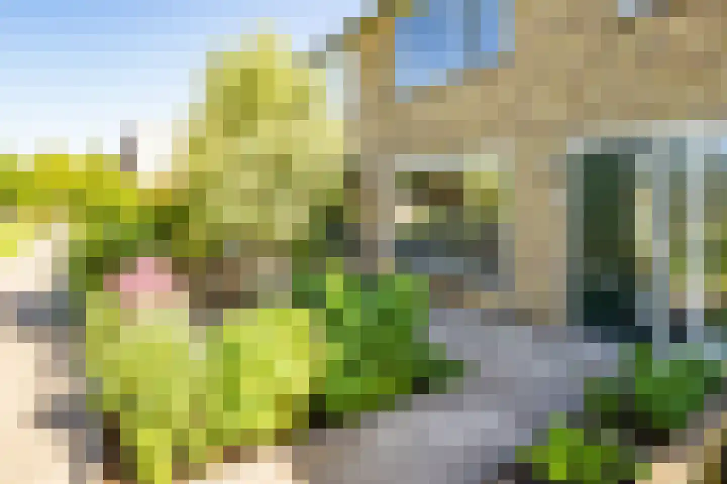 Utrechtseweg 49 IJsselstein thumbnail 40