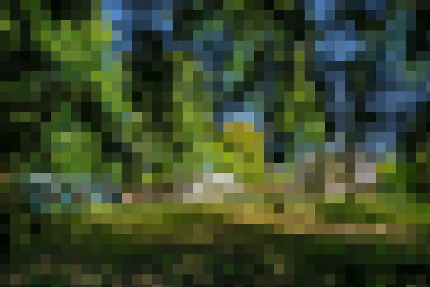 Utrechtseweg 54 Zeist thumbnail 12