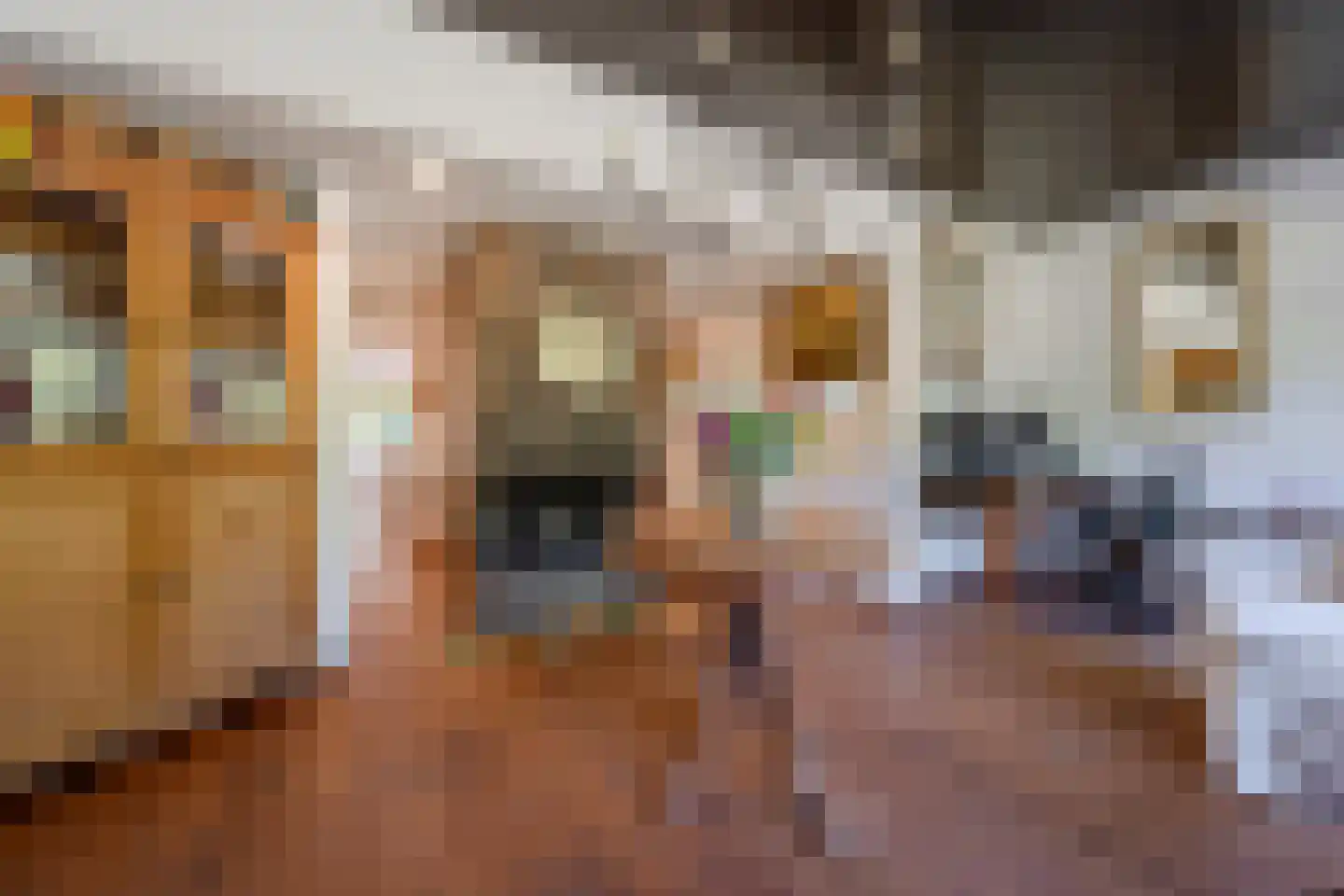 Utrechtseweg 54 Zeist thumbnail 18