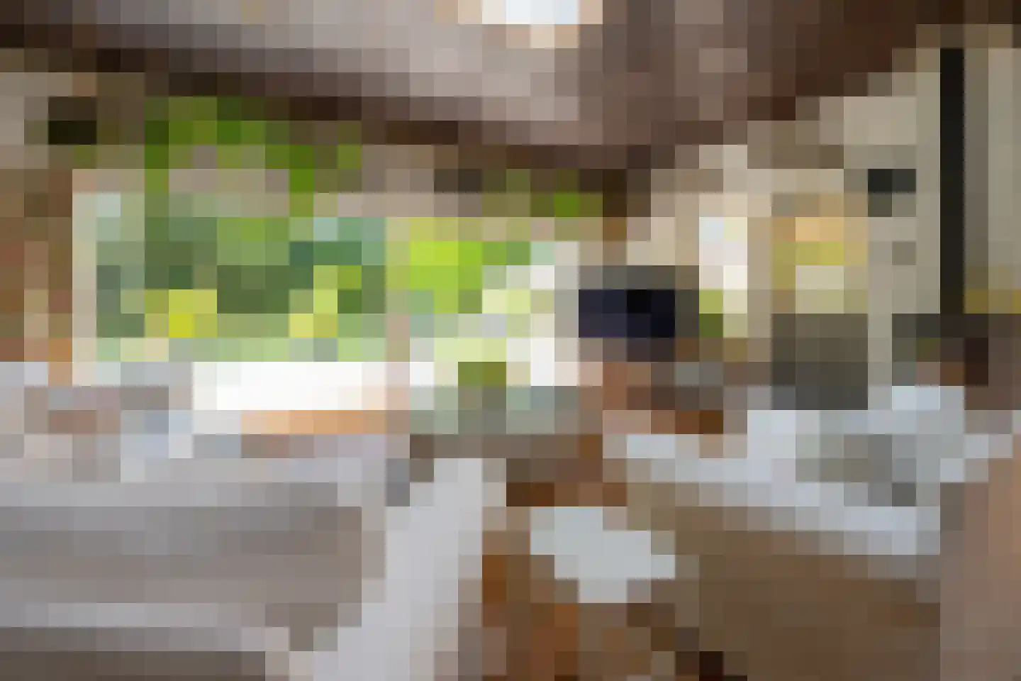 Utrechtseweg 54 Zeist thumbnail 26