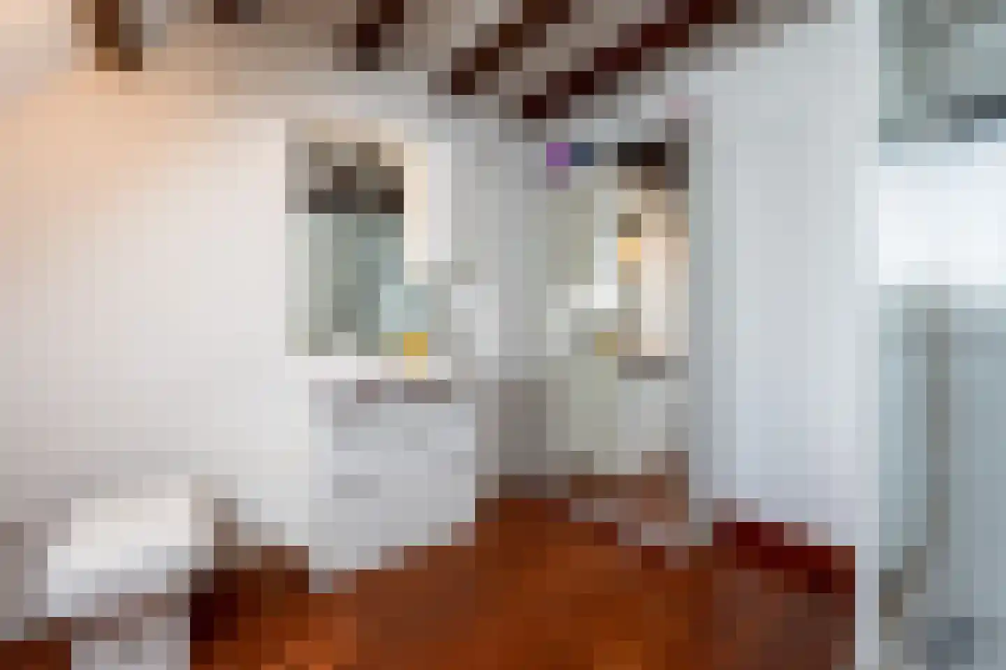 Utrechtseweg 54 Zeist thumbnail 41