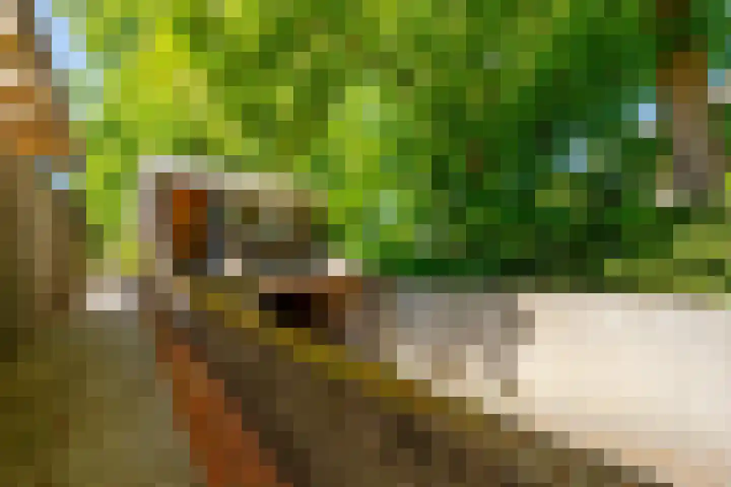 Utrechtseweg 54 Zeist thumbnail 49