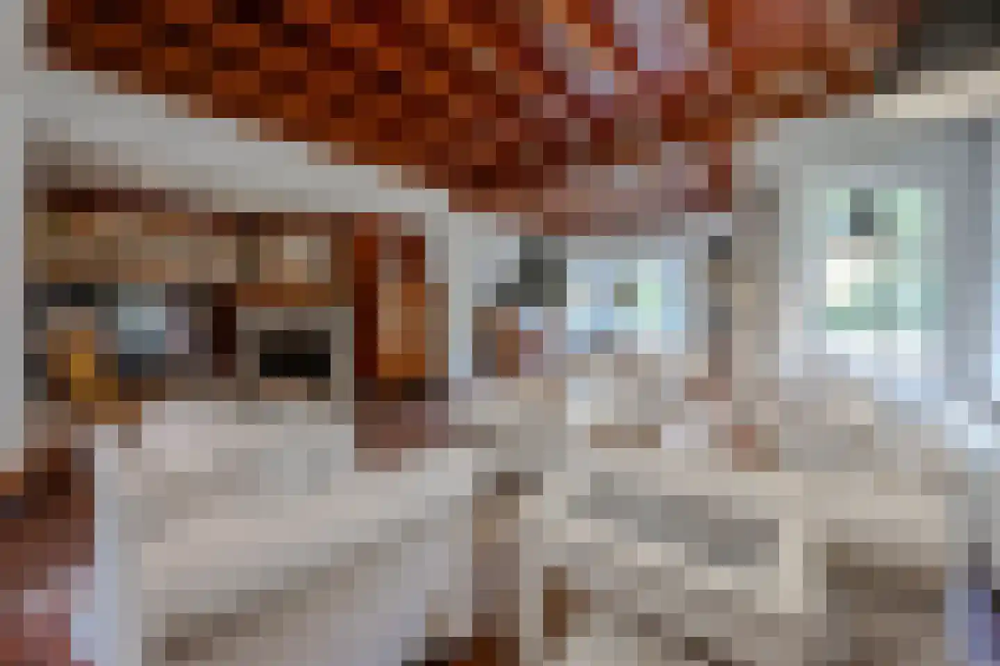 Utrechtseweg 56 Zeist thumbnail 14
