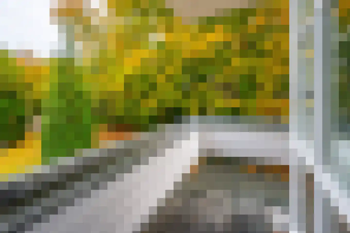 Utrechtseweg 56 Zeist thumbnail 30