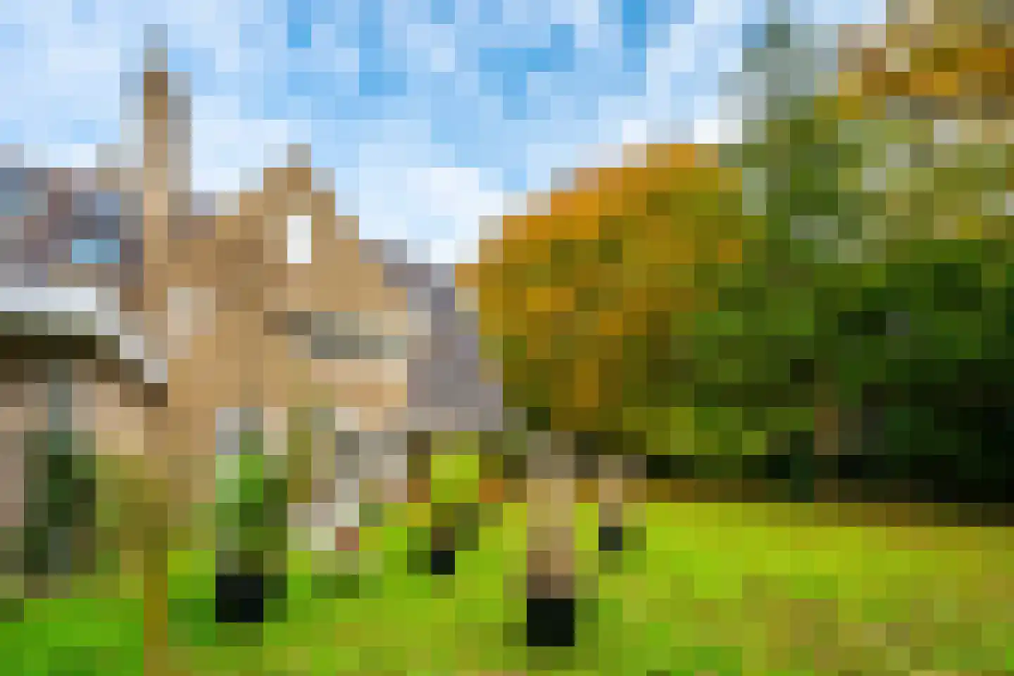 Utrechtseweg 56 Zeist thumbnail 41