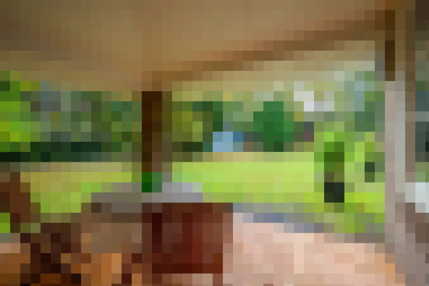 Utrechtseweg 56 Zeist thumbnail 43