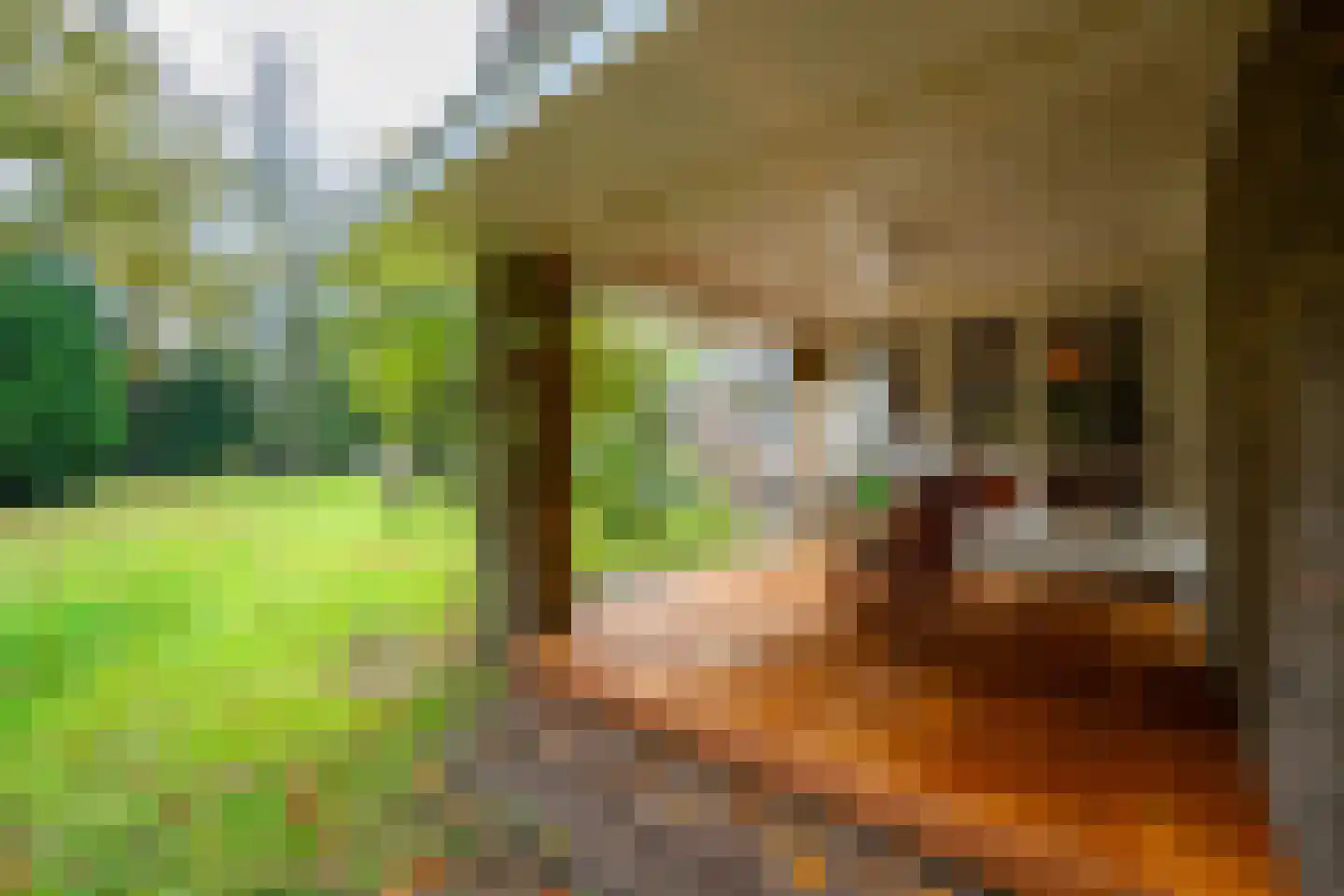 Utrechtseweg 56 Zeist thumbnail 44