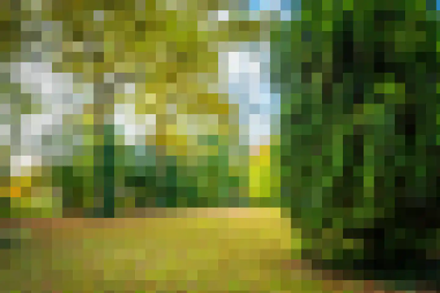 Utrechtseweg 56 Zeist thumbnail 45