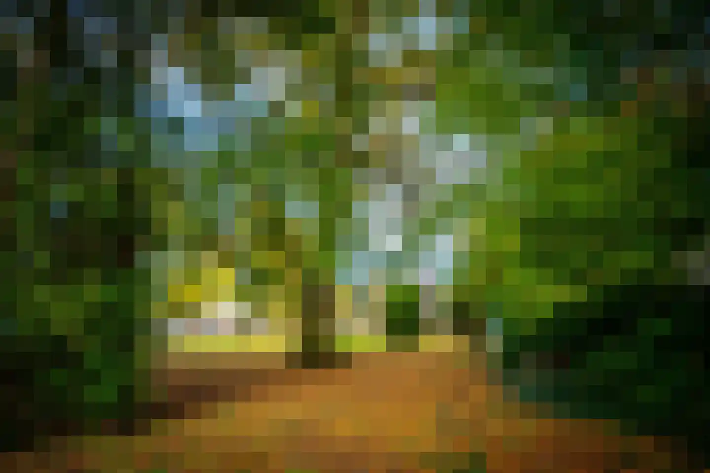 Utrechtseweg 56 Zeist thumbnail 48