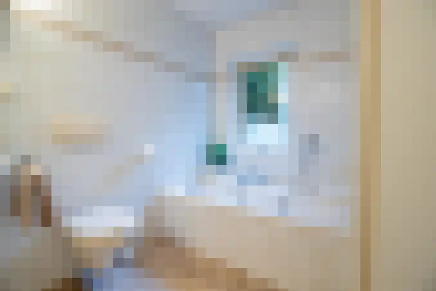 Utrechtseweg 6 B Zeist thumbnail 16