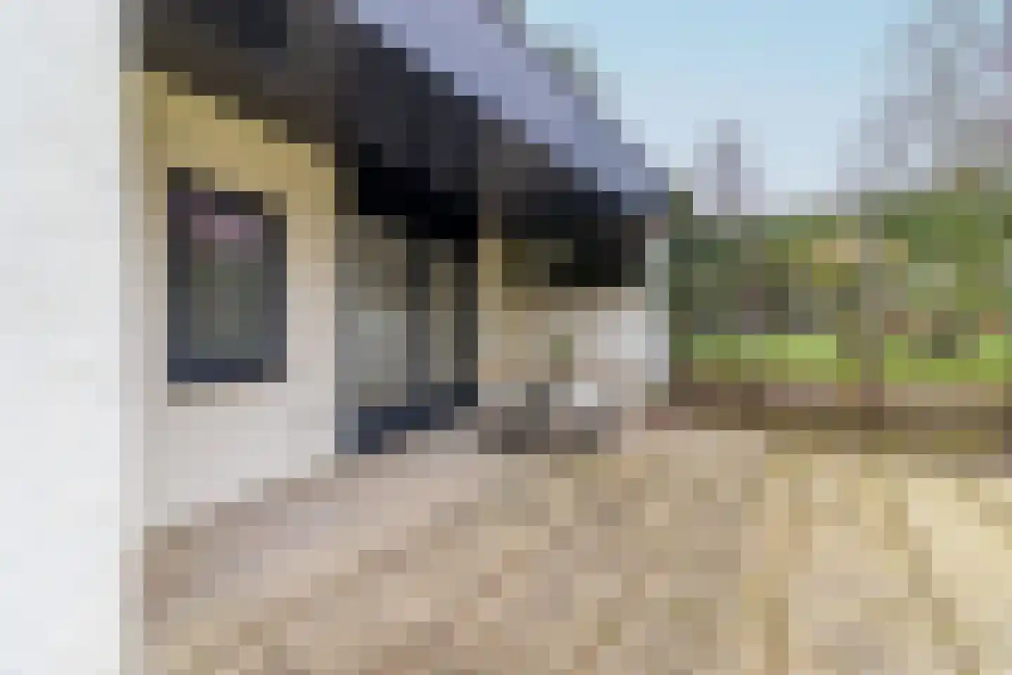 Utrechtseweg 6 B Zeist thumbnail 18