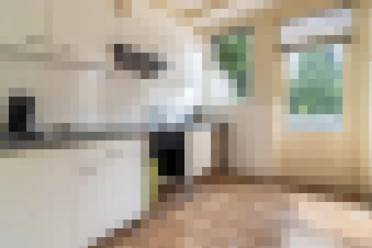 Utrechtseweg 6 Zeist thumbnail 5