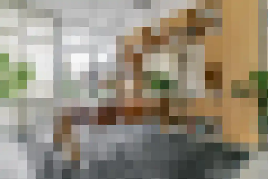 Utrechtseweg 62 24 Heelsum thumbnail 17