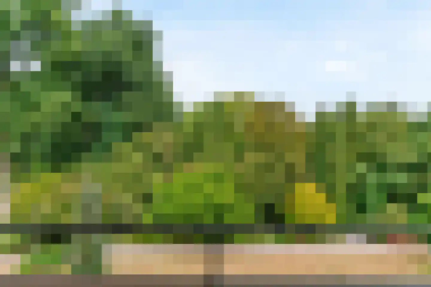 Utrechtseweg 62 43 Heelsum thumbnail 23
