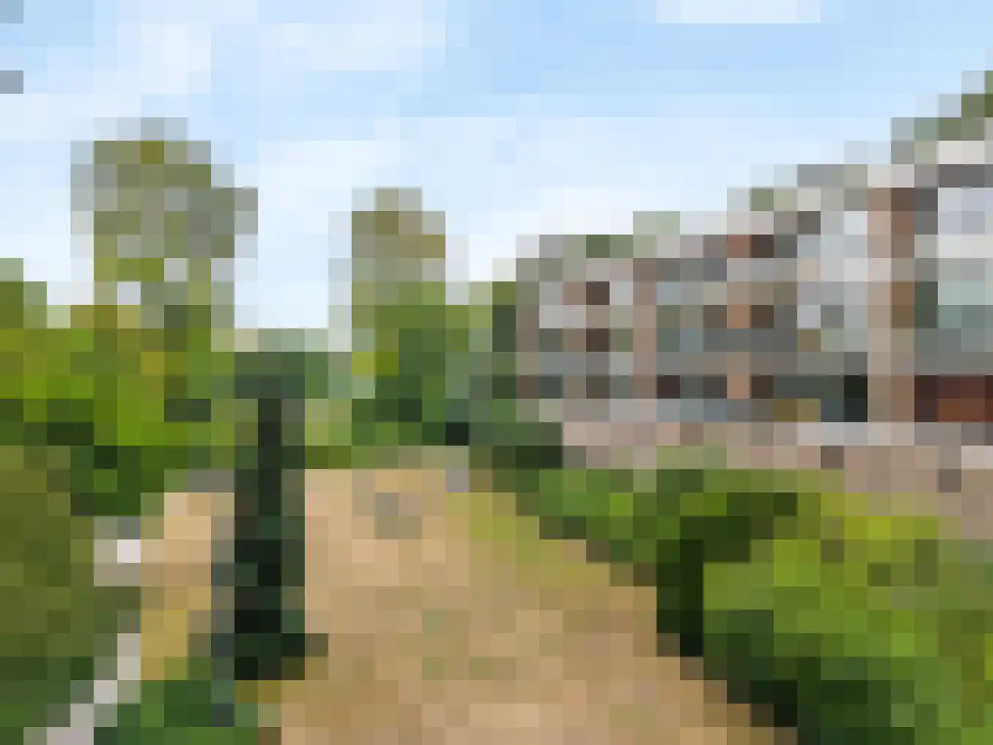 Utrechtseweg 62 43 Heelsum thumbnail 31