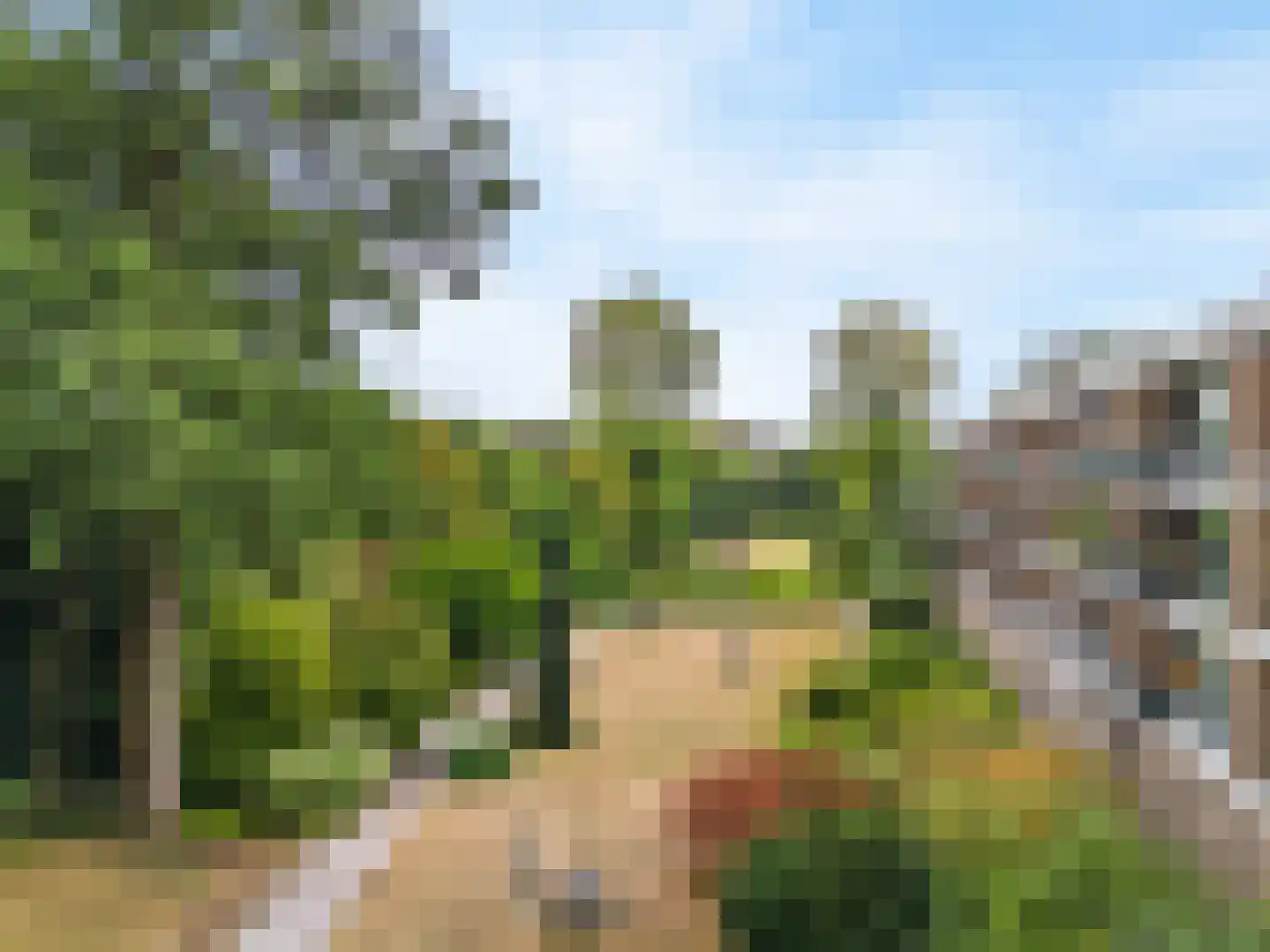 Utrechtseweg 62 43 Heelsum thumbnail 33