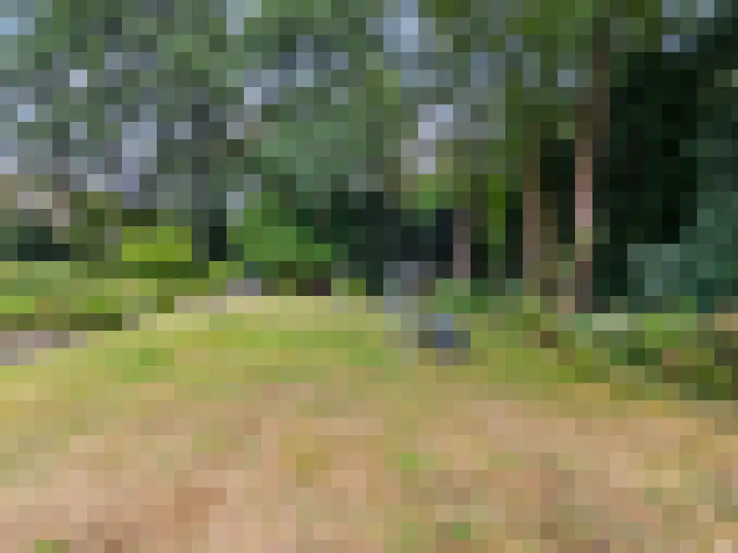 Utrechtseweg 62 43 Heelsum thumbnail 35