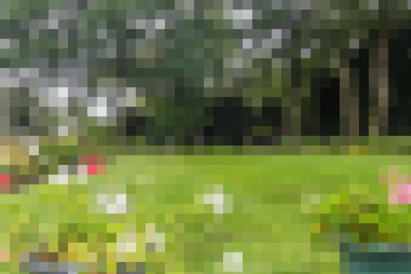 Utrechtseweg 62 50 Heelsum thumbnail 19